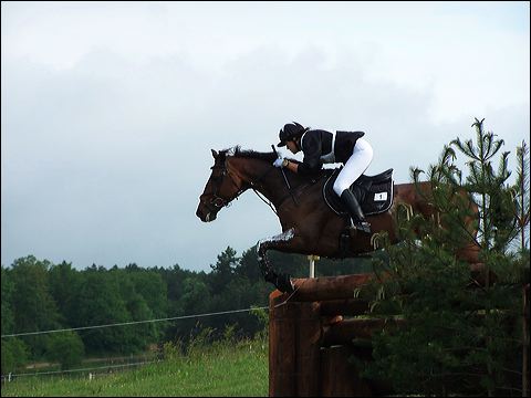 100_6525.jpg
