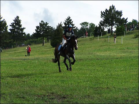 100_6530.jpg