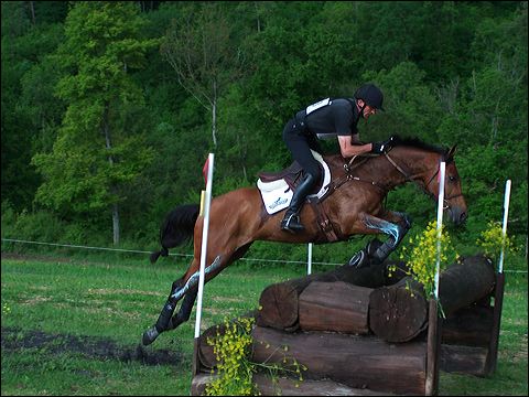 100_6531.jpg