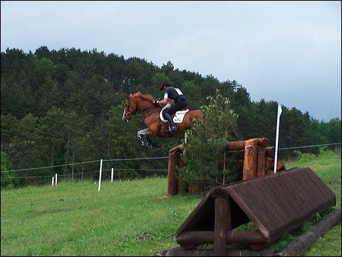 100_6543.jpg