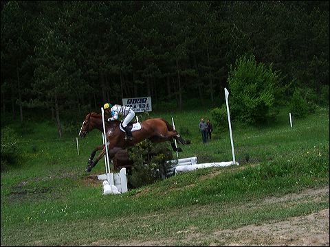 100_6477.jpg