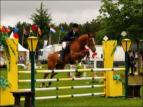 p1080050.jpg