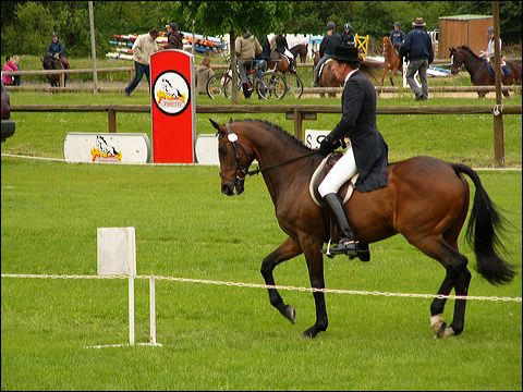 p1070454.jpg
