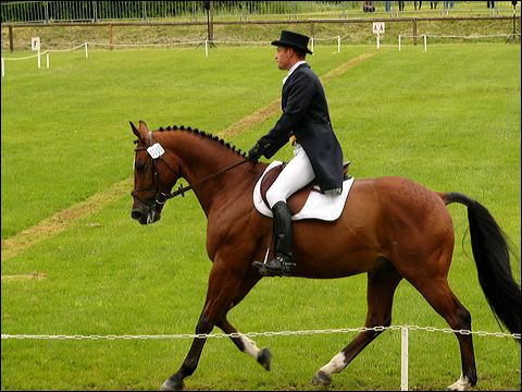 p1070471.jpg