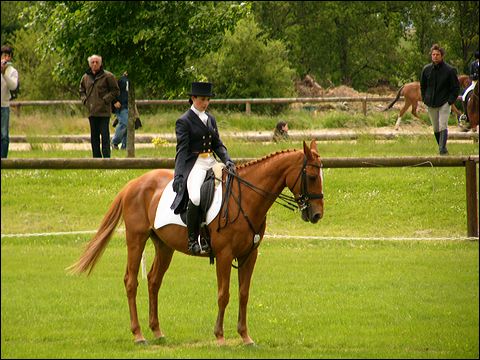 p1070485.jpg