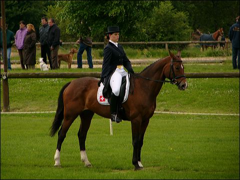 p1070495.jpg
