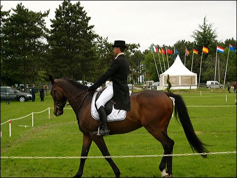 p1070556.jpg