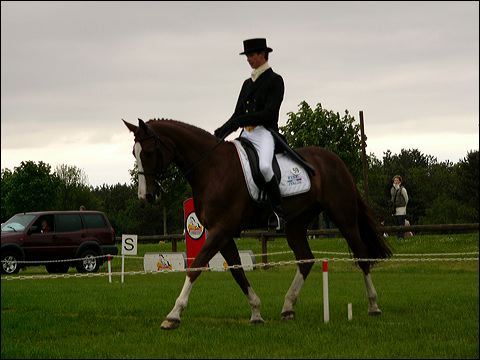 p1070571.jpg