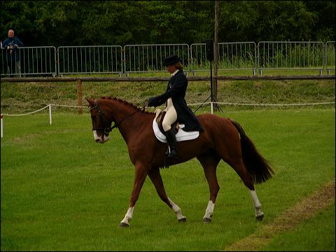 p1070574.jpg