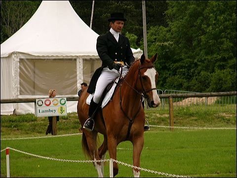 p1070578.jpg