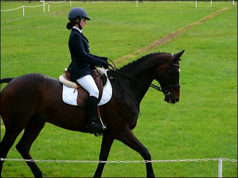 p1070611.jpg