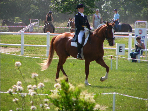 p1100852.jpg