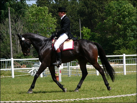 p1100877.jpg