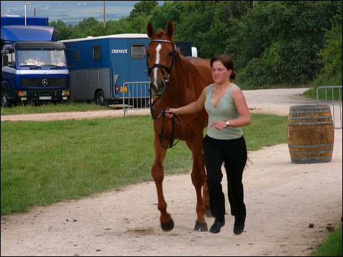 p1100773.jpg