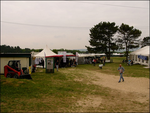 p1130695.jpg