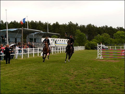 p1140162.jpg