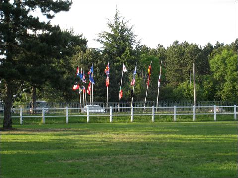 img_1301.jpg