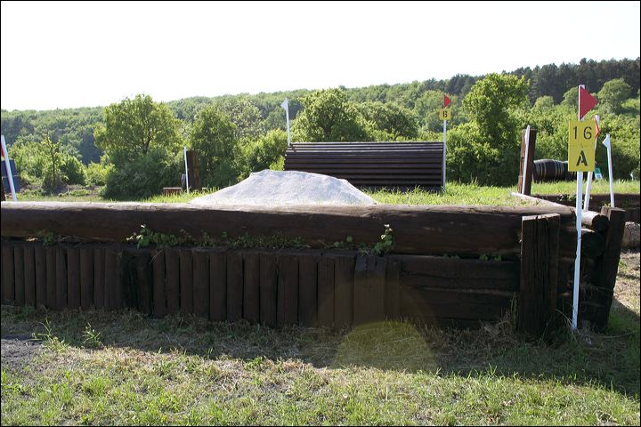 img_1397.jpg